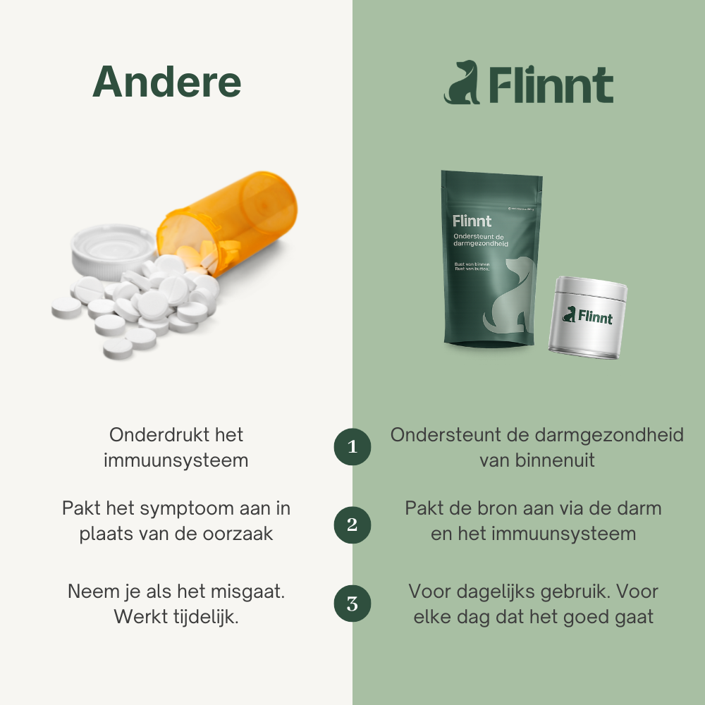Flinnt