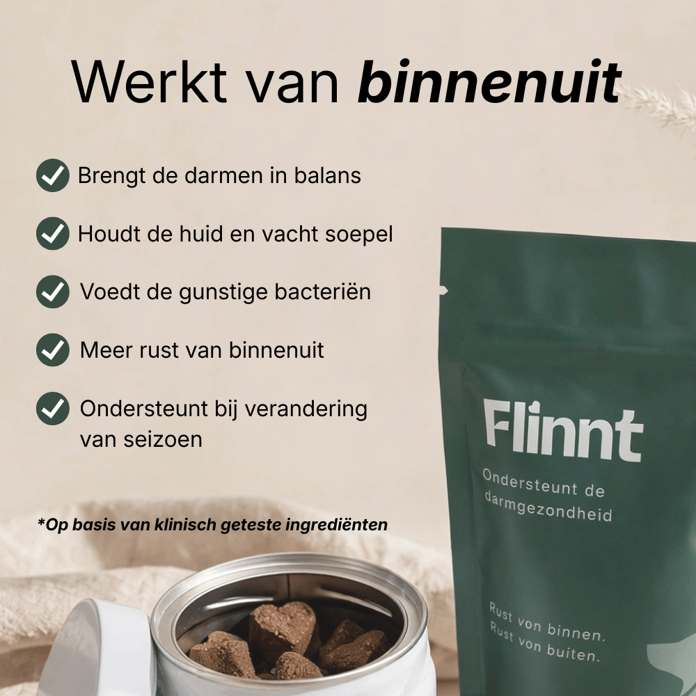 Flinnt Bundels