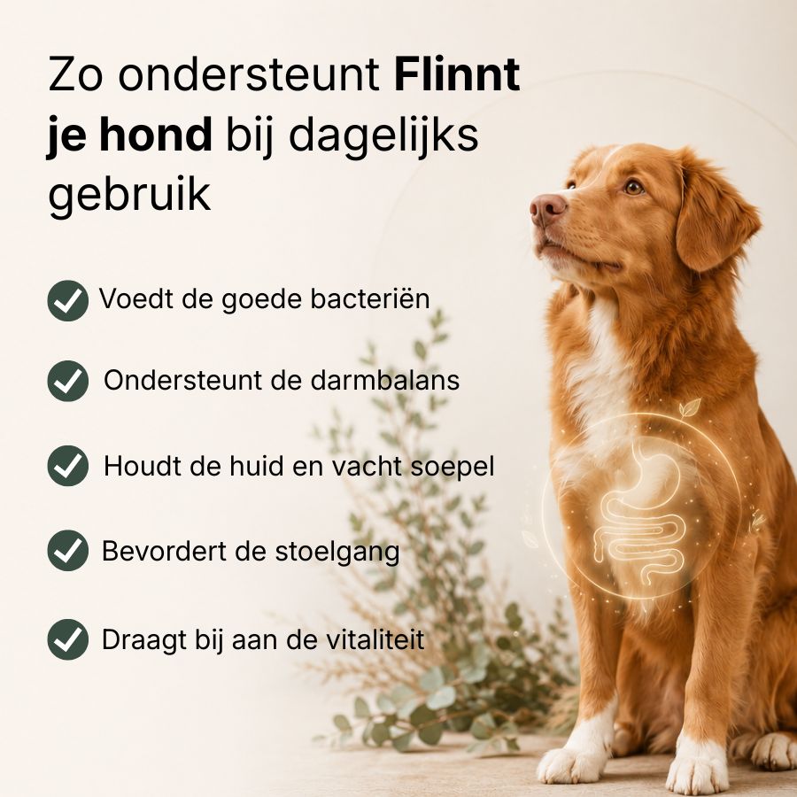 Flinnt