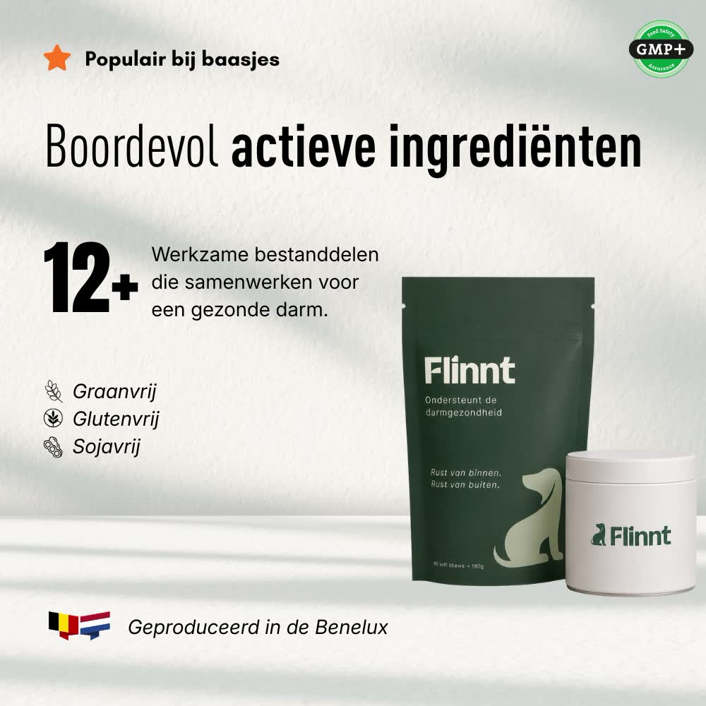 Flinnt