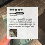 Flinnt
