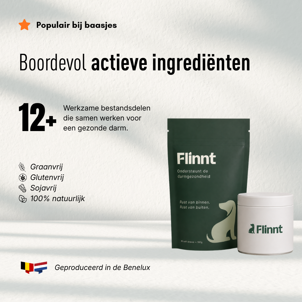 Flinnt Bundels