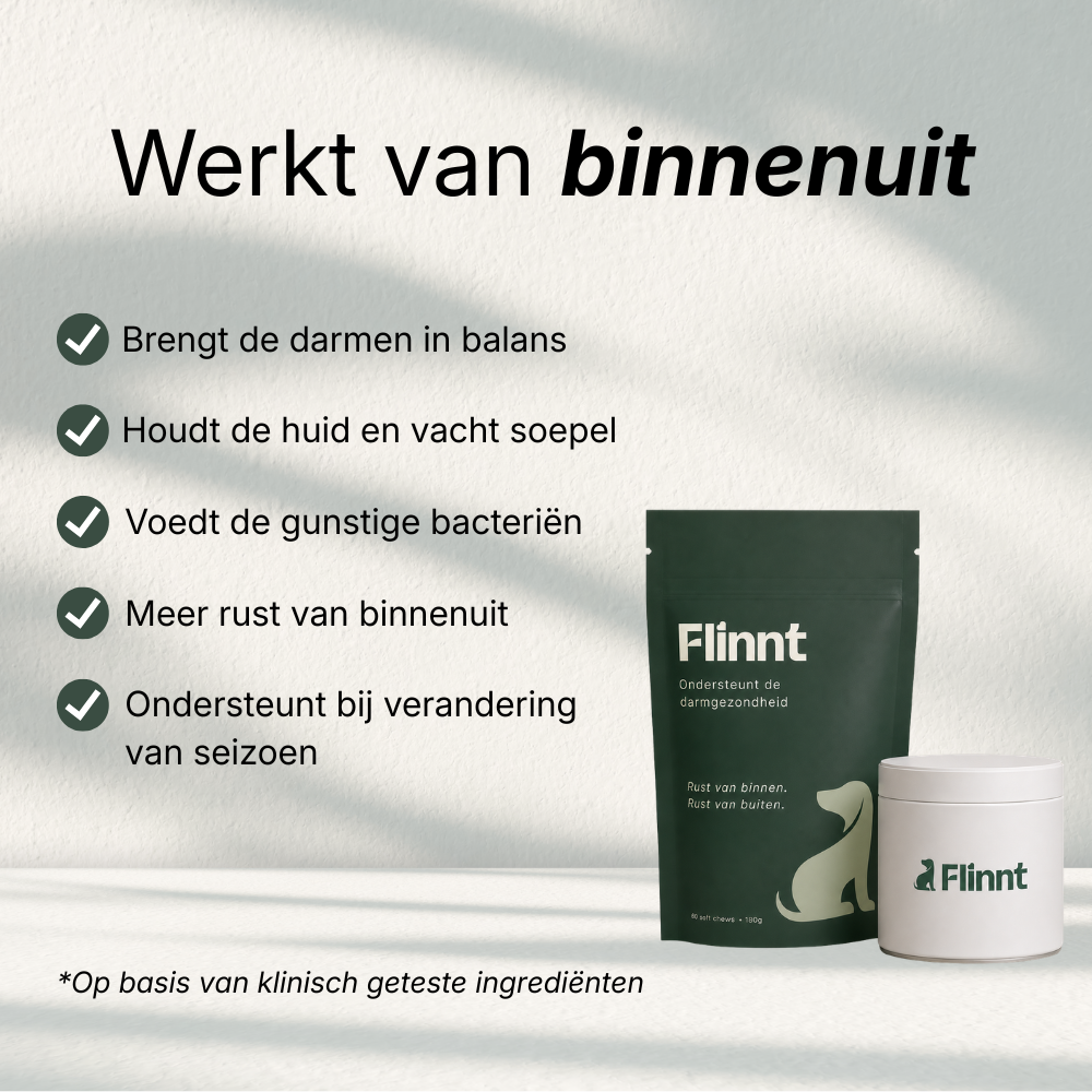 Flinnt